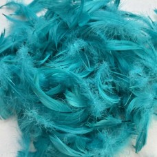 Пір'я бірюза (15гр +-4гр)